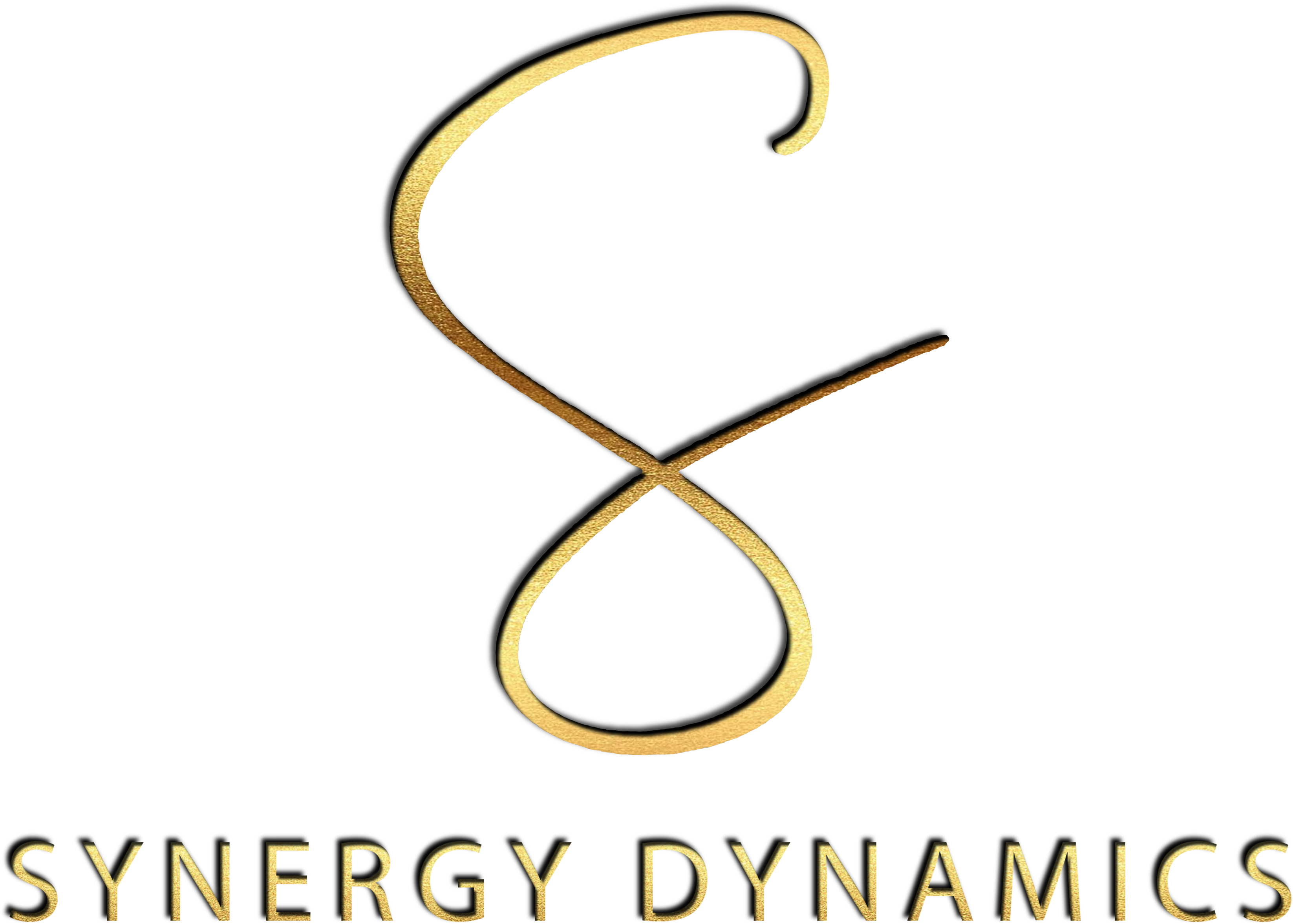 Synergy Dynamics Logo
